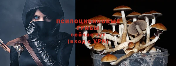 MESCALINE Кинешма