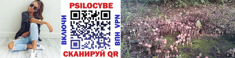 Галлюциногенные грибы прущие грибы Ессентуки